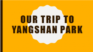 Trip to Yangshan Park (Click Here)