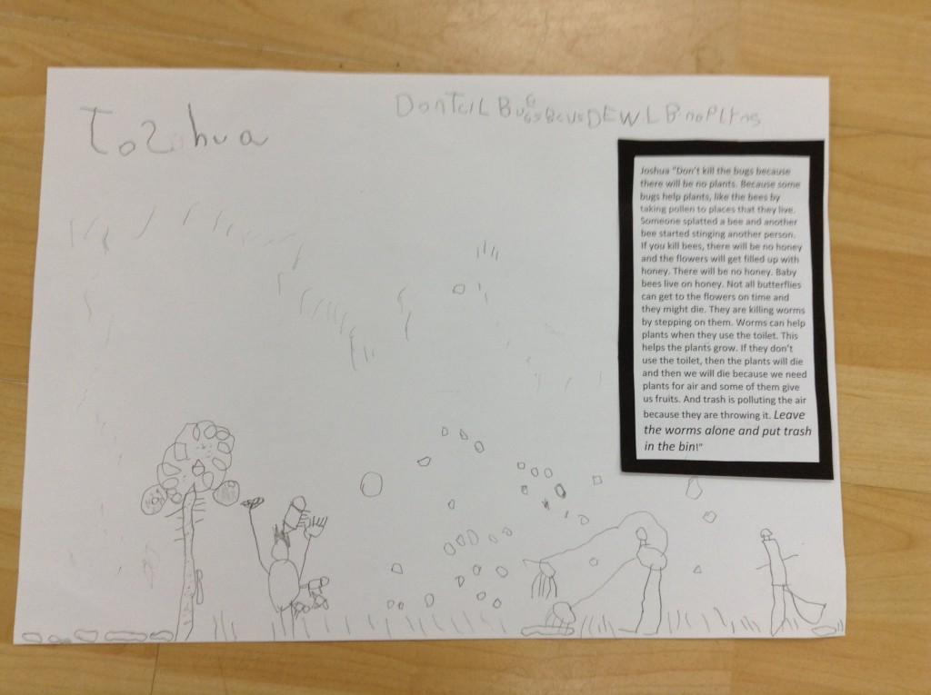 Joshua “Don’t kill the bugs because there will be no plants. Because some bugs help plants, like the bees by taking pollen to places that they live. Someone splatted a bee and another bee started stinging another person. If you kill bees, there will be no honey and the flowers will get filled up with honey. There will be no honey. Baby bees live on honey. Not all butterflies can get to the flowers on time and they might die. They are killing worms by stepping on them. Worms can help plants when they use the toilet. This helps the plants grow. If they don’t use the toilet, then the plants will die and then we will die because we need plants for air and some of them give us fruits. And trash is polluting the air because they are throwing it. Leave the worms alone and put trash in the bin!”